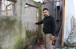 Ahırın duvarını kırıp 57 koyunu çaldılar