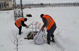 Akşehir Belediyesi sokak hayvanlarını beslemeyi...