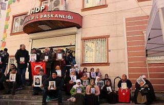 Annelerin 141 günlük evlat nöbetinde aile sayısı...