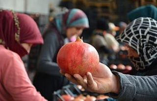 Antalya’dan İngiltere ve Ukrayna’ya nar ihracatı