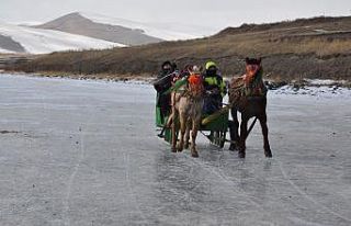 Ardahan’da gölde atlı kızak keyfi