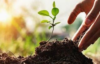 Avustralya yangını Türkiye’deki mobilya sektörünü...