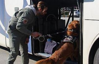 Aydın’da 2458 şok uygulamada 115 bin kişi sorgulandı