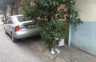 Aydın’da soğuk havada iç ısıtan görüntü