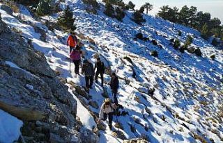 Aydınlı kamp tutkunları Dağeymiri Yaylası’nın...