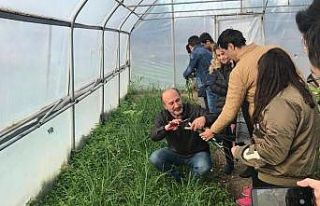 Bafra Dedeli Tarım Meslek Lisesinde döner sermaye...