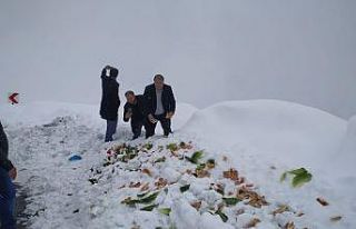 Bahçesaray’da yaban hayvanlara yem desteği