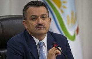 Bakan Pakdemirli: "Suyun tek elden yönetilmesi,...