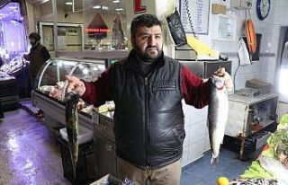 Balıkta KDV’nin düşmesinden esnaf da vatandaş...