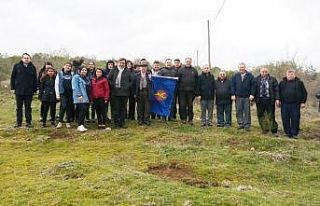 Balyalı öğrenciler 300 fıstık çamını toprakla...