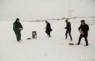 Başkan Cabbar, hayvanlar için doğaya yiyecek bıraktı
