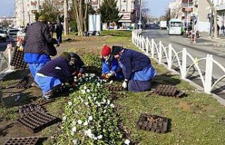 Belediye ekipleri Çorlu’yu güzelleştirmeye çalışıyor