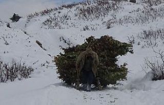 Besicilerin zorlu kış mesaisi