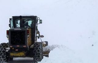 Bingöl’de kar 100 köy yolunu ulaşıma kapattı