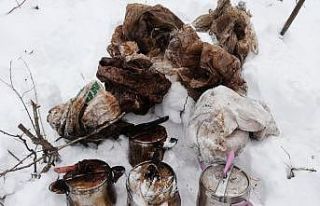 Bitlis’te terör örgütünce kullanılan 7 adet...