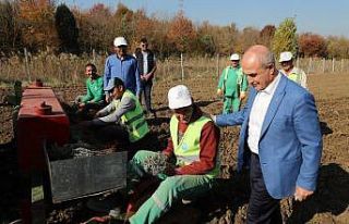 Büyükçekmece’de “Tarım Yılı” eğitim programı...