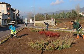 Büyükşehir Belediyesi Körfez’i yeşillendiriyor