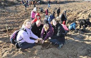 Çanakkale’de ’Toprak Dede’ için 100 fidan...