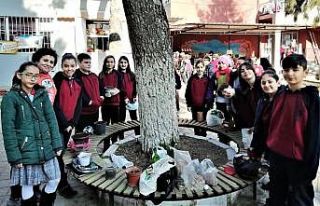 Çevre şenliğinde tohumlar toprakla buluşturuldu