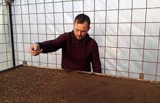 Çiçekten 1 milyon lira tasarruf