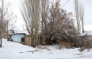 Cinnet getiren koca karısını öldürdü