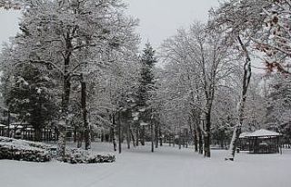 Çorum güne karla uyandı