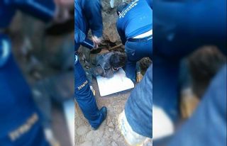 Denizli’de dengesini kaybeden işçi toprağın...