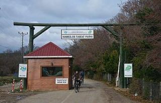 Doğa harikası Hamsilos, halka bırakıldı