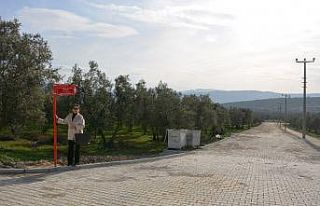 Efsane eğitimcinin adı sokağa verildi