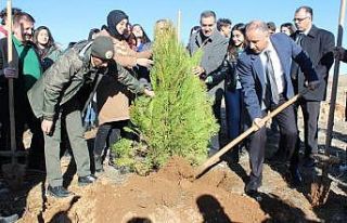 Elazığ’da Hayrettin Karaca anısına 200 fidan...