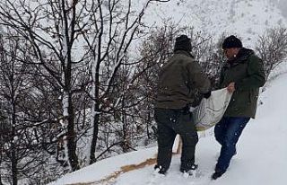 Elazığ’da yaban hayvanları için doğaya yem...