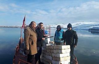 Erçek Gölü’ndeki balıklara boy denetimi