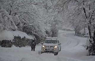 Hakkari’de 87 yerleşim yeri ulaşıma kapandı