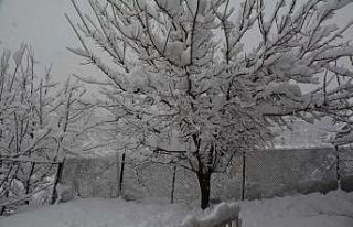 Hakkari’de yüzlerce yerleşim yeri ulaşıma açıldı