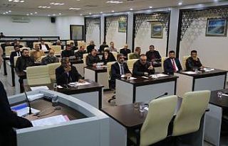 Haliliye’de yeni kamulaşma için ağaç dikme kararı