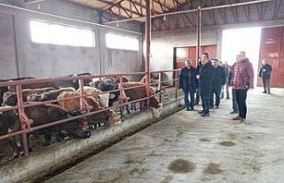 Iğdır’da işletme denetimleri devam ediyor