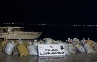 Isparta’daki kaçak 1 ton 250 kilogramlık kerevit...