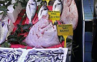 Kalkan balığının fiyatı dudak uçuklatıyor