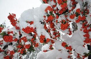 Kar, Simav’da güzel manzaralar oluştu