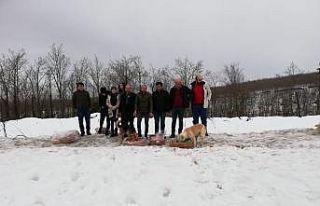 Kara kışta sokak hayvanlarını unutmadılar