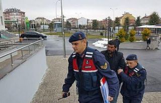 Karaman’da 79 koyunu çaldığı ileri sürülen...