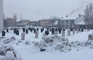 Karlıova’da kar hasreti bitti, ilçe beyaza büründü