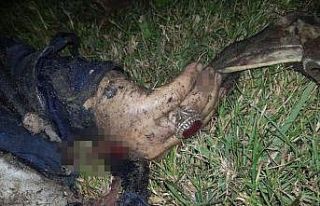 Kasım Süleymani’nin cesedi yüzüğünden teşhis...