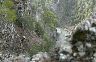 Kayalıklarda 2 gün mahsur kalan 6 keçi 8 saatlik...