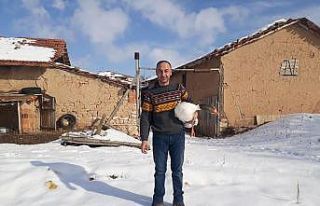 Kaz üreticiliği hızla artıyor