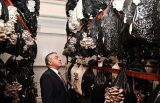 KKDP desteklemeleri meyvesini vermeye devam ediyor