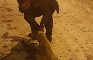 Köpeğin imdadına duyarlı vatandaş yetişti
