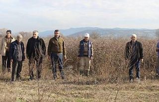 Köyün merası var, ama hayvan otlatılamıyor