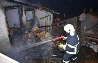 Kuzular diri diri yanmaktan son anda kurtarıldı