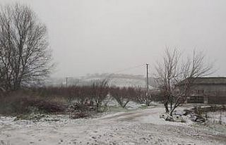 Lapseki ilçe merkezi beyaza büründü